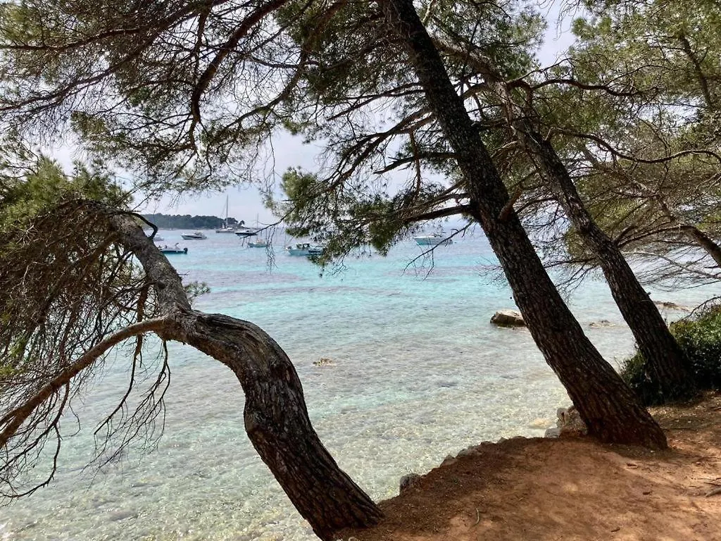 Appartement Centre Croisette Emplacement Exceptionnel Cannes Francia