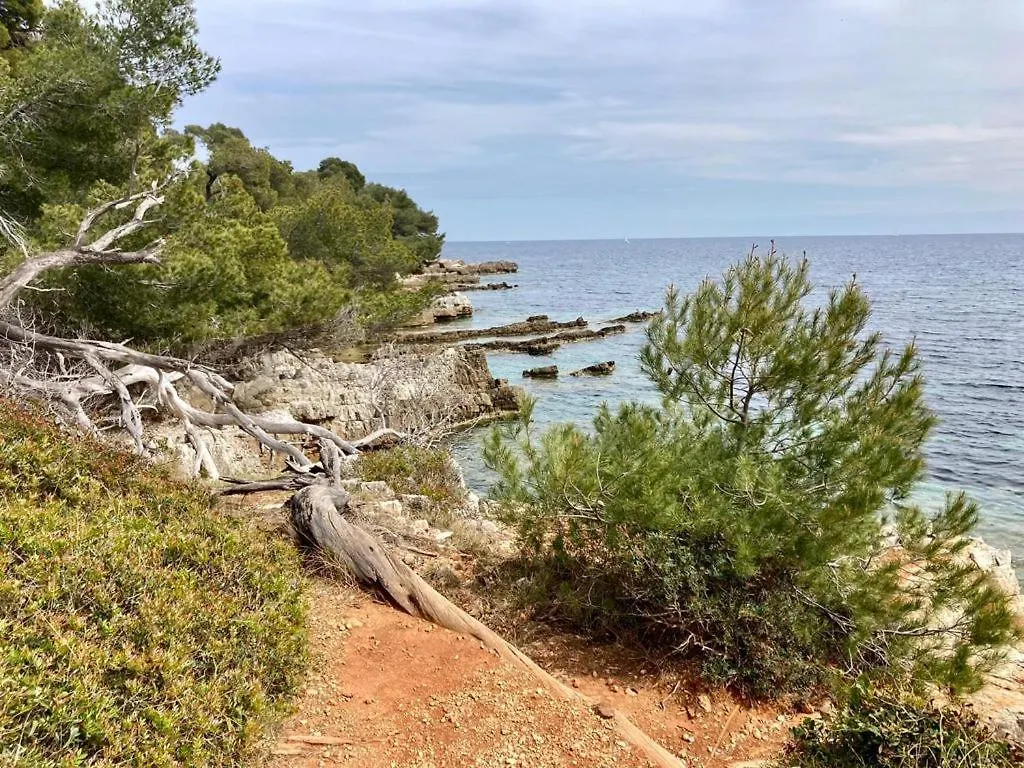 Appartamento Appartement Centre Croisette Emplacement Exceptionnel Cannes Francia
